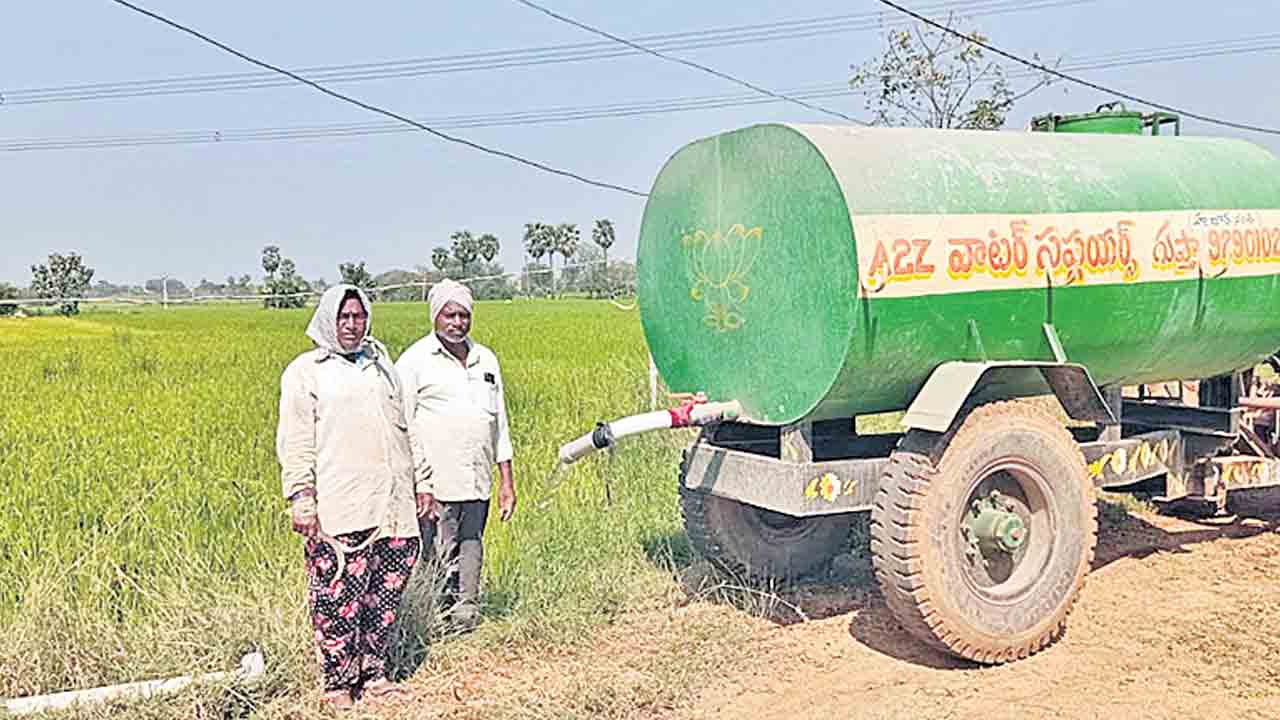 పదివేల ఎకరాల్లో.. ఎండిన వరి.. పరిస్థితి ఇలాగే ఉంటే మరో లక్ష ఎకరాలు ఎండిపోవడం ఖాయం