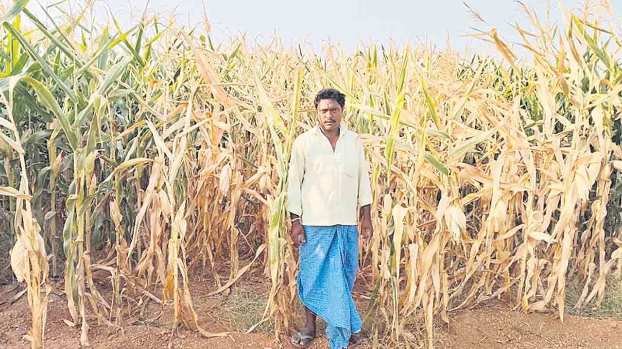 అన్నదాత కన్నీటి గోస.. ముంచుకొస్తున్న సాగునీటి గండం