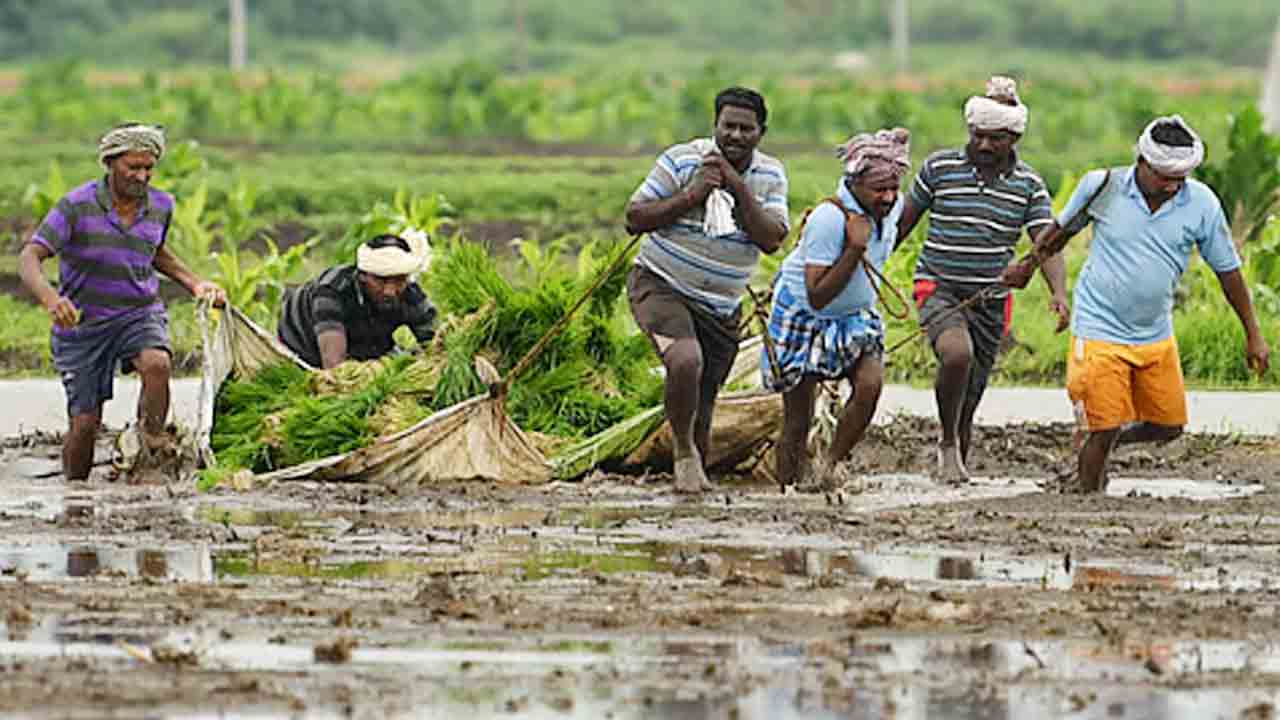 వ్యవసాయ అనుబంధ రంగాలు కుదేలు