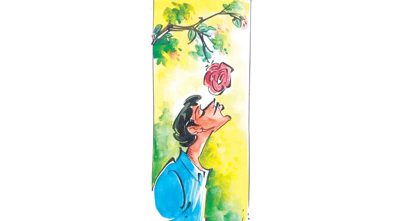 రంగులు ఎలిసిన సింగిడి