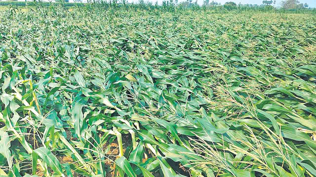 అకాల వర్షంతో అతలాకుతలం.. పలు జిల్లాల్లో భారీ వర్షాలు