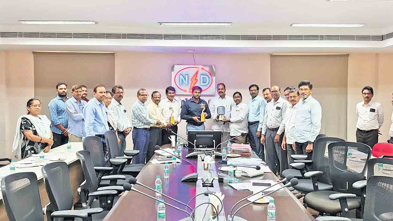 ఎన్‌పీడీసీఎల్‌కు మరో అవార్డు