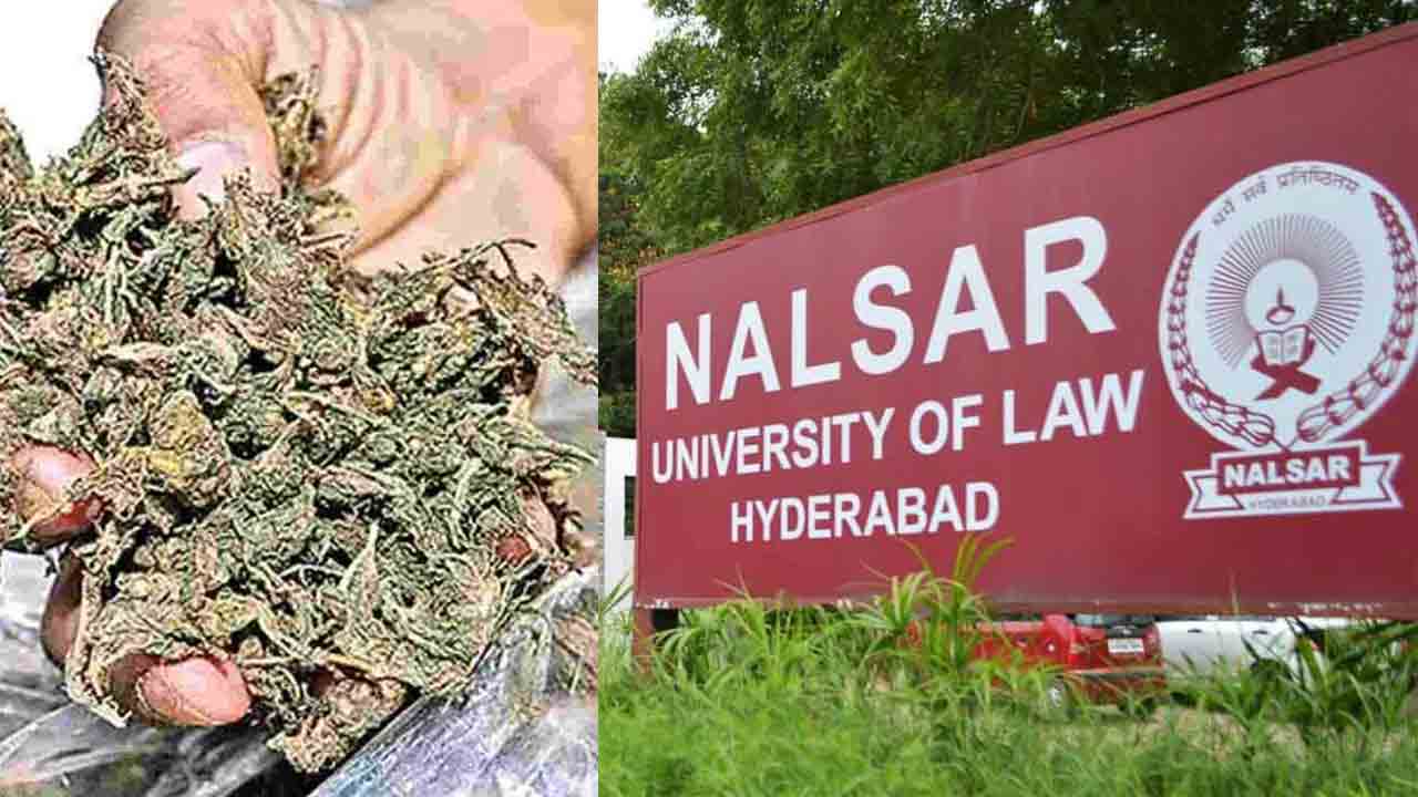 నల్సార్‌ యూనివర్సిటీలో గంజాయి కలకలం