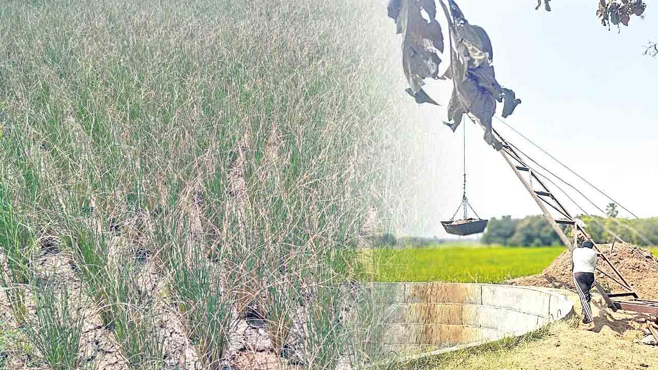 మెట్టరైతుకు సాగునీటి గోస