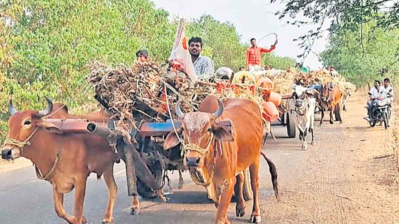 తప్పని బతుకుపోరు