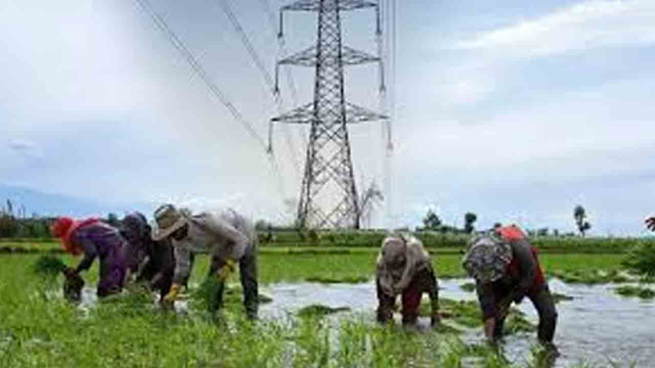 వేగంగా రైతు డిస్కం ఏర్పాటు పనులు