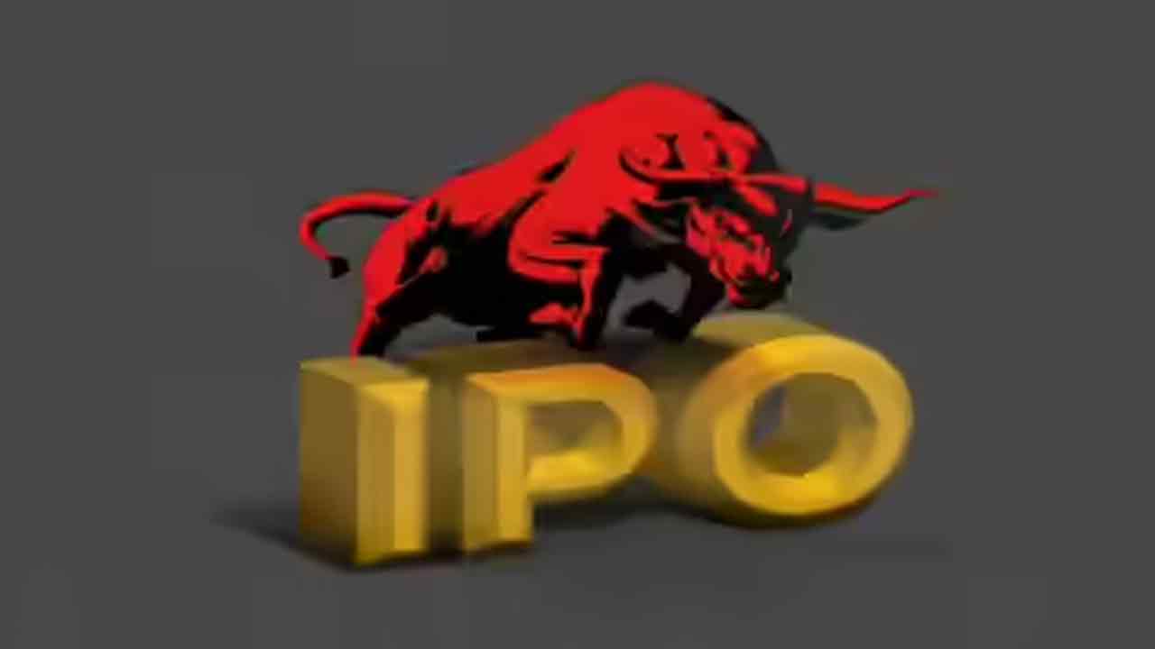 నెమ్మదించిన పబ్లిక్‌ ఇష్యూలు