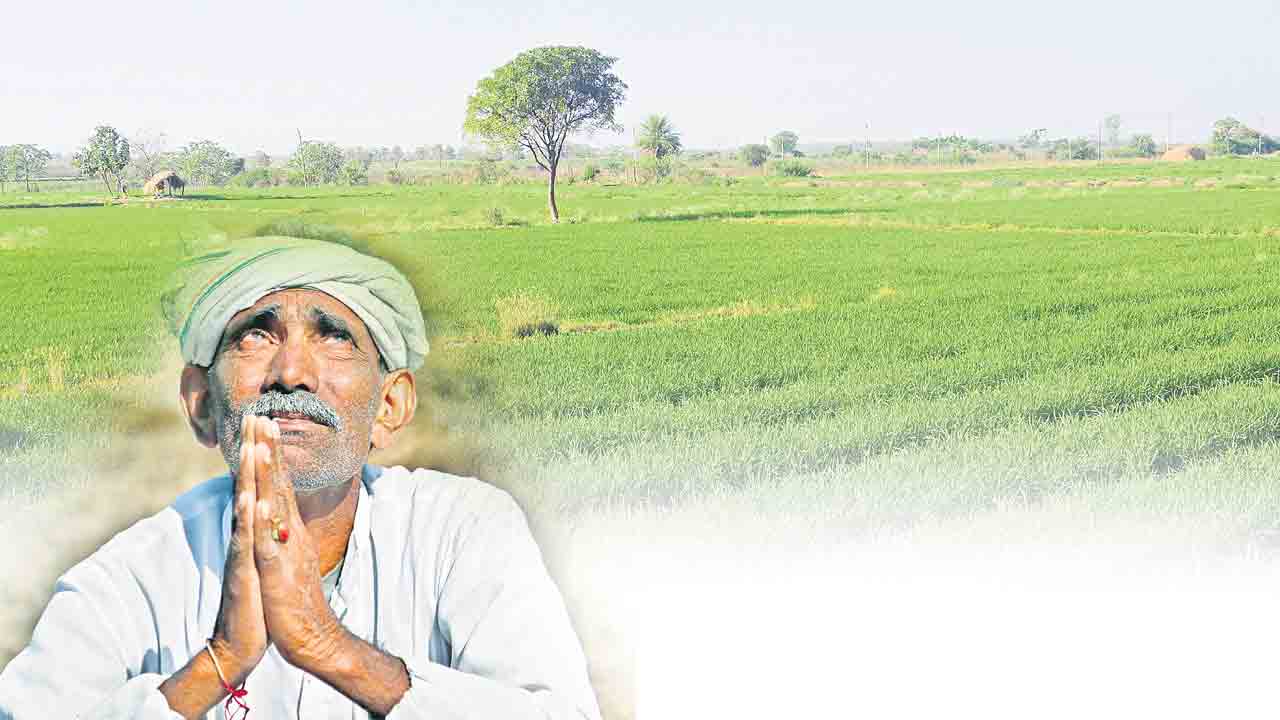 సీఎం సార్‌.. రుణమాఫీ ఏదీ!