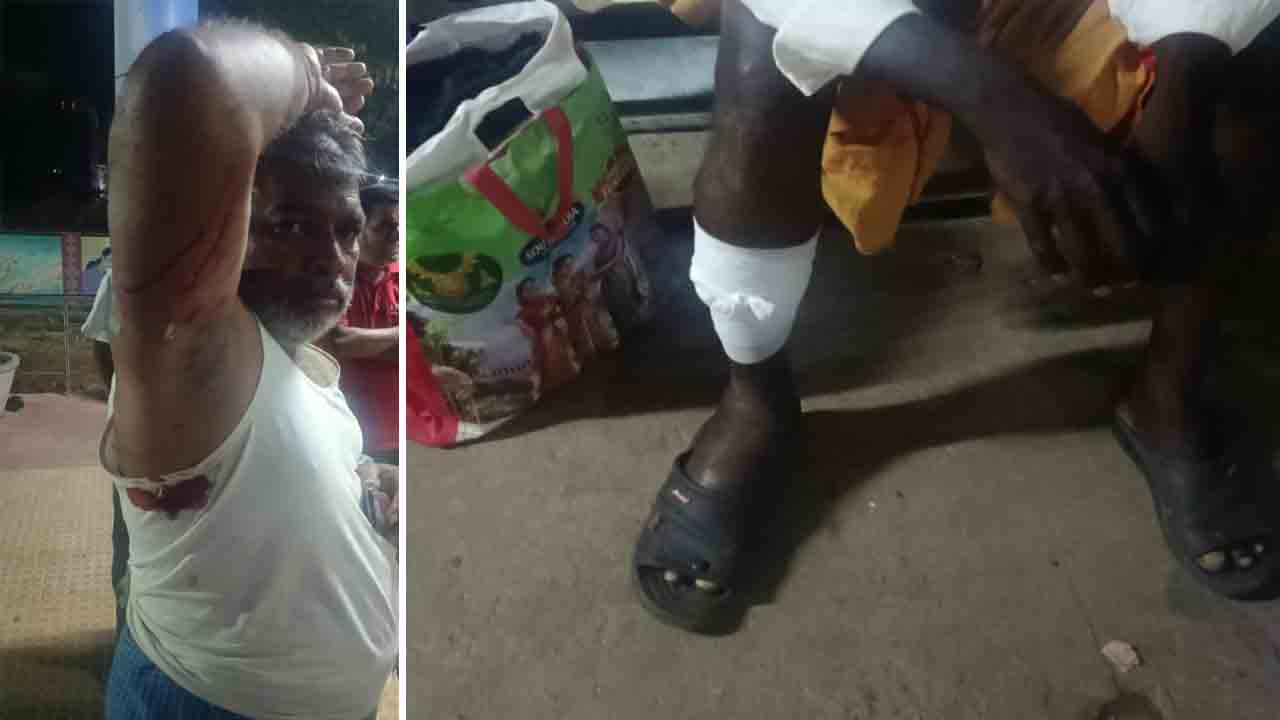 పాలమూరు దవాఖానలో పిచ్చికుక్కల స్వైరవిహారం