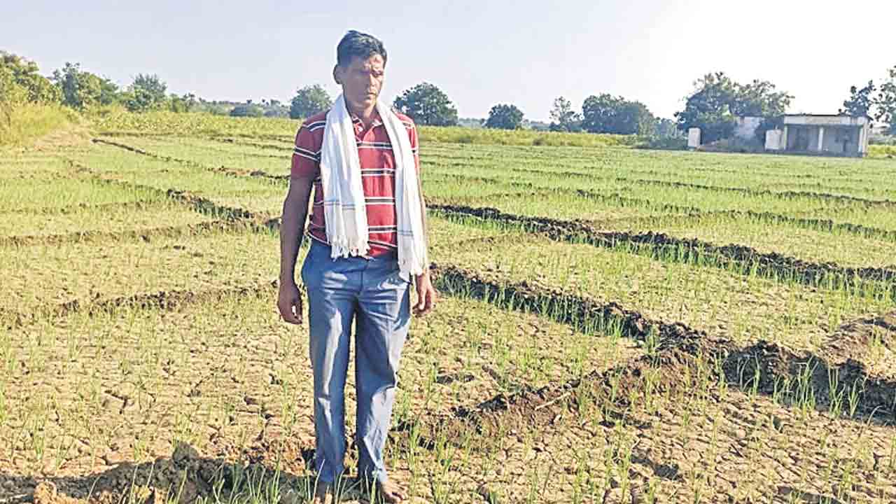 కాటగలుపుతున్న కరెంట్‌!