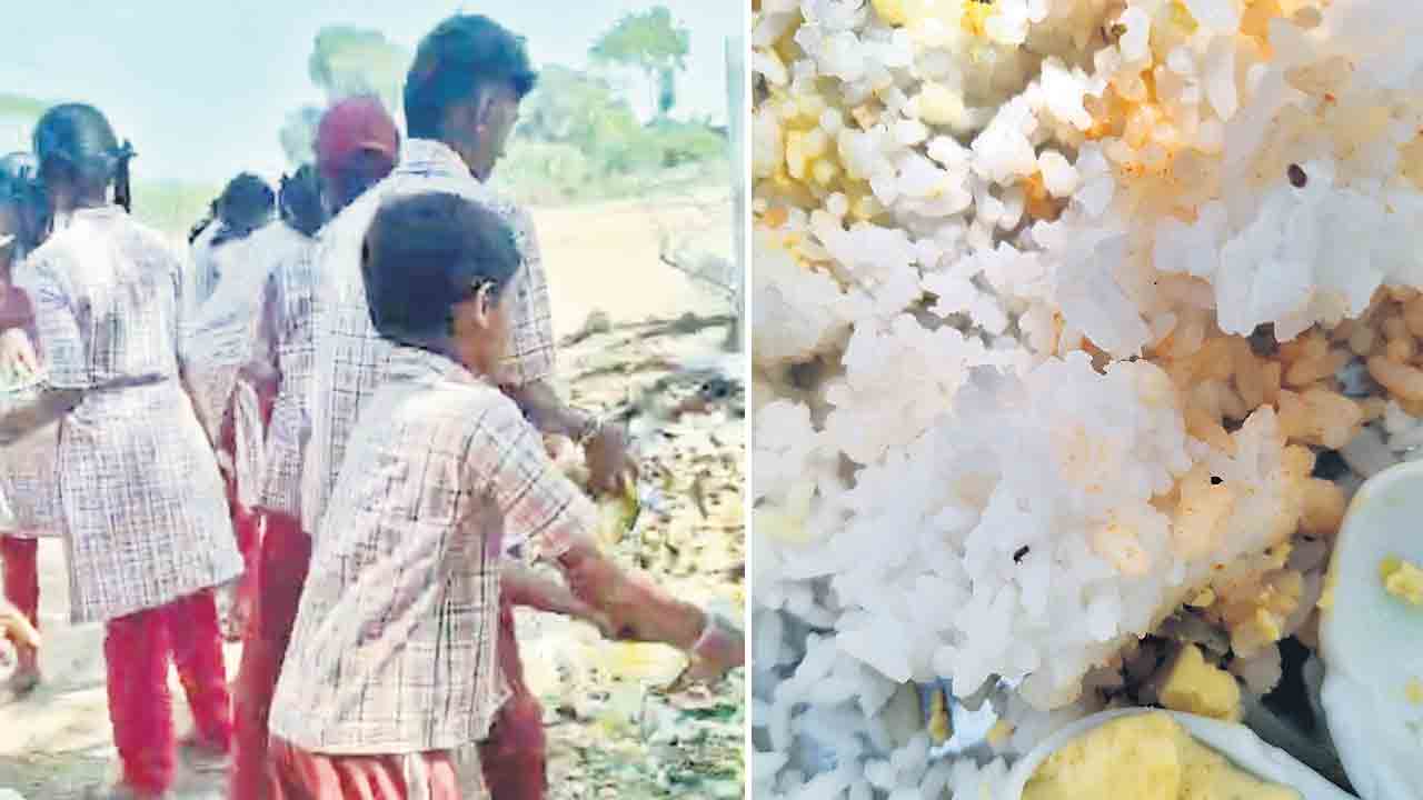 మధ్యాహ్న భోజనంలో పురుగులు