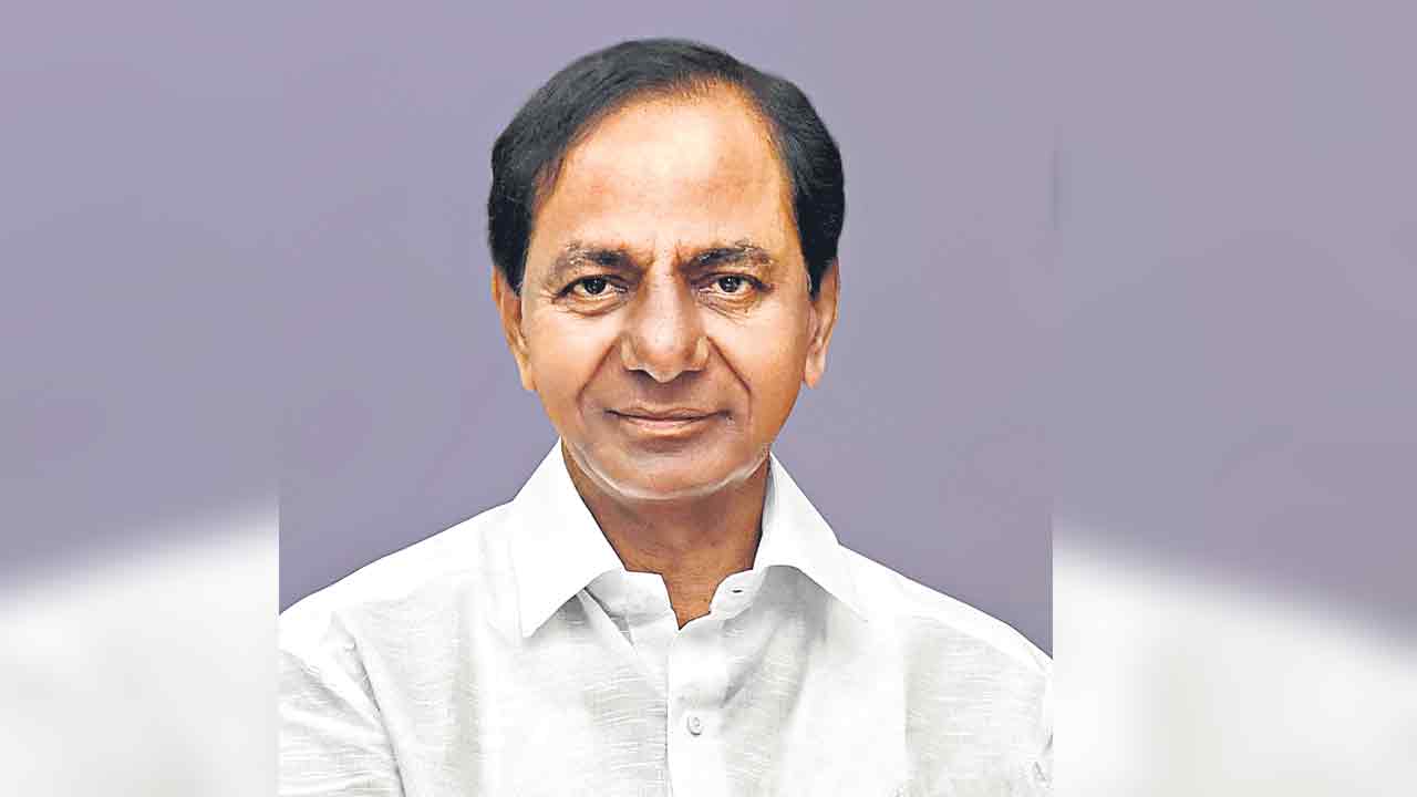 మహిళలు సామాజిక సంపద సృష్టికర్తలు