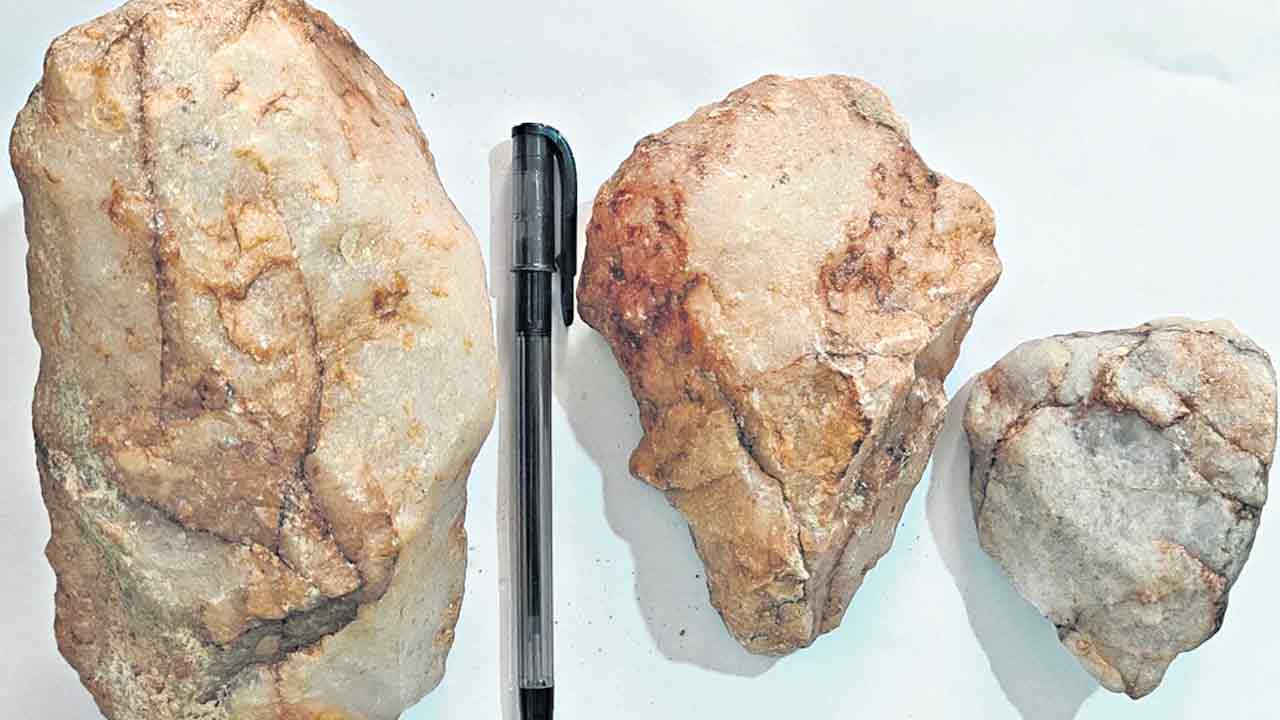 పట్నంలో పాతరాతియుగపు పనిముట్లు