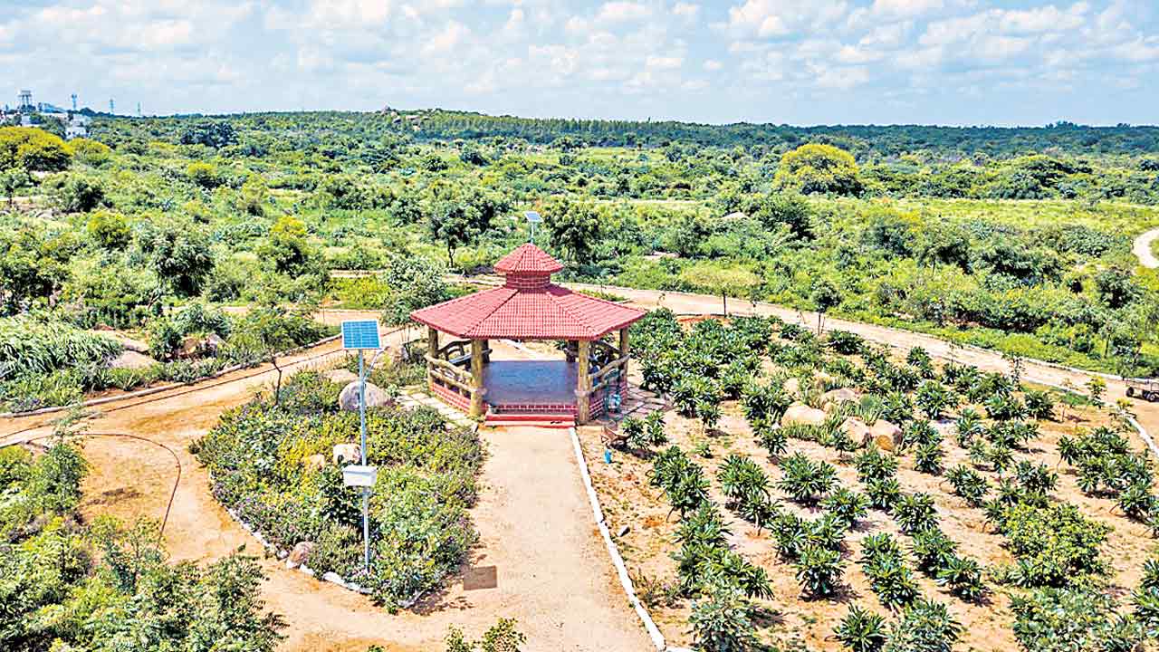 రిజర్వ్‌ ఫారెస్ట్‌గా గుర్రంగూడ