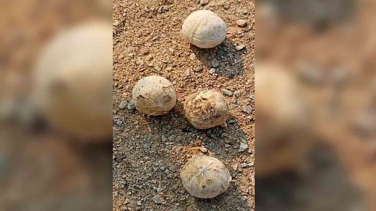 నాటుబాంబుల కలకలం