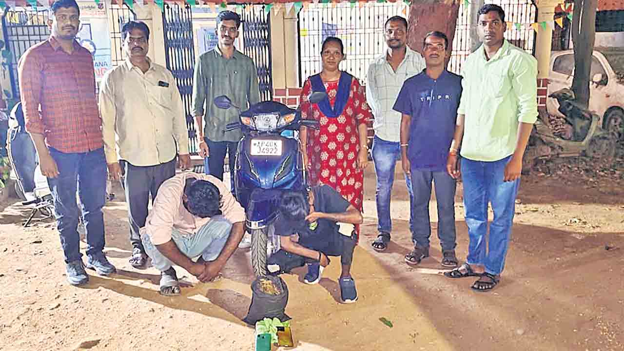 నగరంలో గంజాయి విక్రయాలు