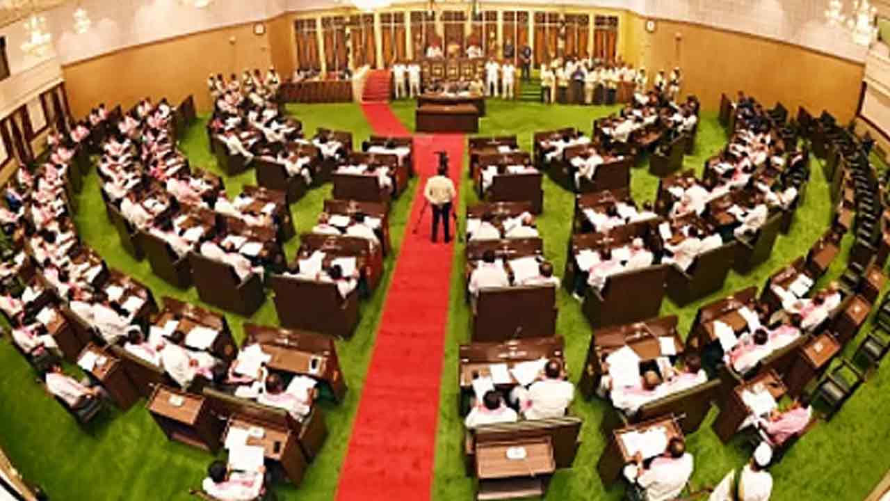 పద్దులకే పరిమితం!