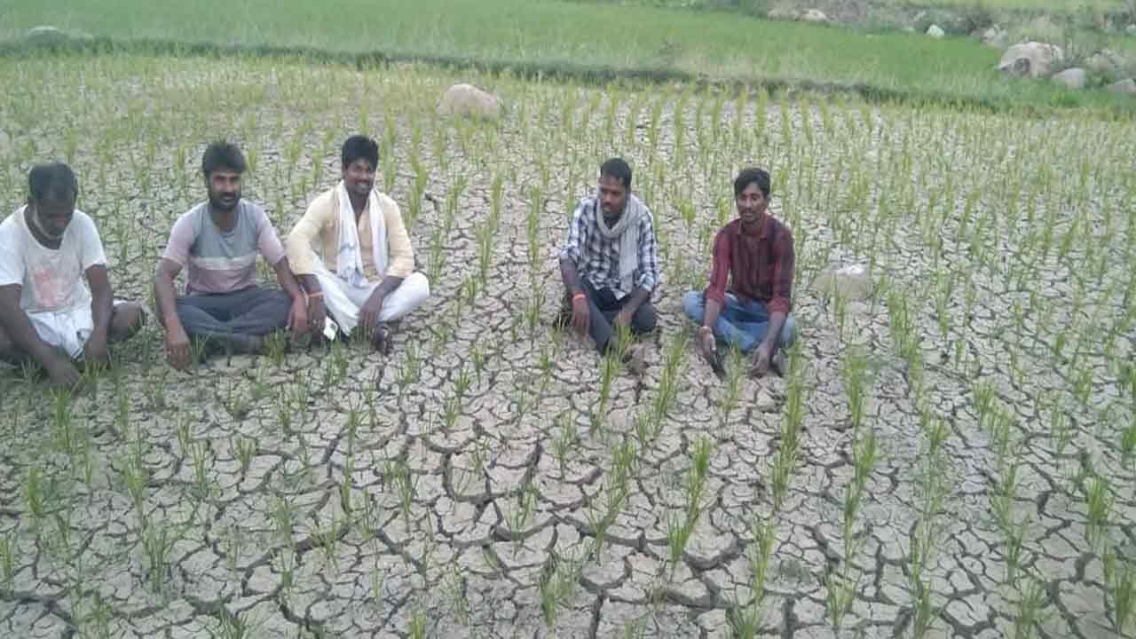కాలుతున్న ట్రాన్స్‌ఫార్మర్లు ఎండుతున్న వరి పొలాలు