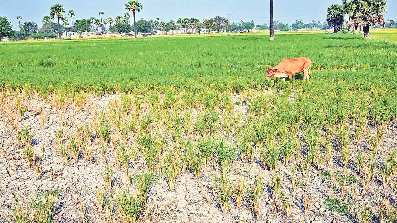 గ్రేటర్‌లోనూ కరెంట్‌ కష్టాలు