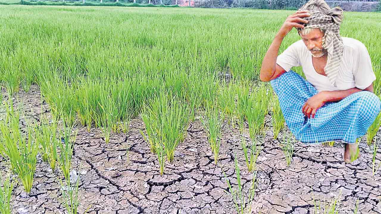 Electricity | కరెంట్‌ ఎప్పుడొస్తదోనని..కావలి కాస్తున్నం!..ఈఆర్సీ ఎదుట అన్నదాతల గోడు