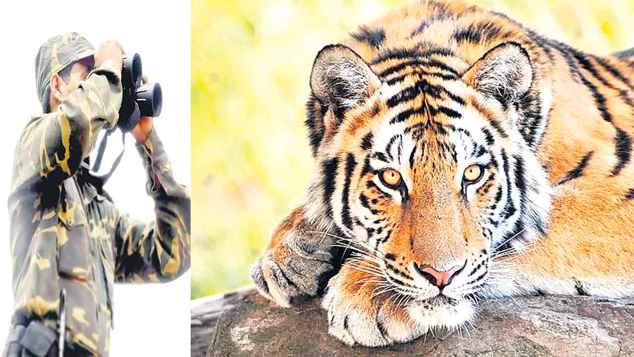 రంగంలోకి పుణే రెస్క్యూ టీం