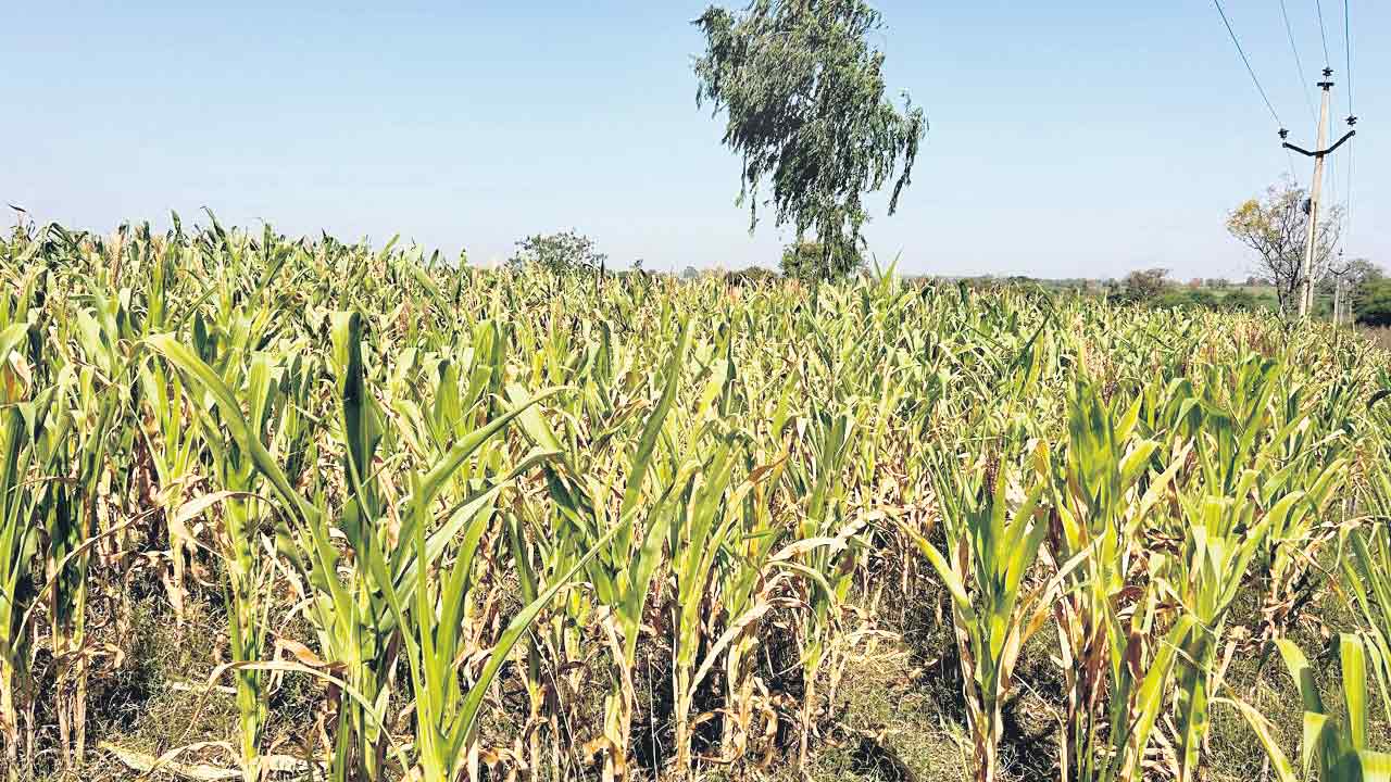 రైతన్న కన్నీరు అడుగంటిన భూగర్భ జలాలు