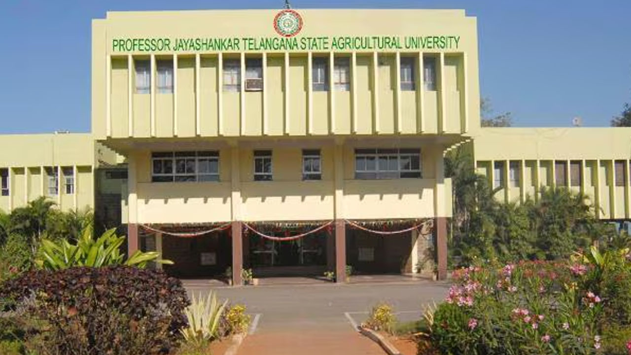 Mega Rythu Mela | మార్చి 8 నుంచి తెలంగాణ వ్యవసాయ విశ్వవిద్యాలయంలో మెగా రైతు మేళా