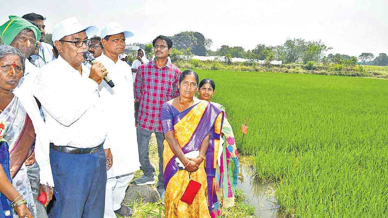 నేల ఆరోగ్యంపై స్వచ్ఛంద సేవకులకు శిక్షణ.. అల్దాస్‌ జానయ్య