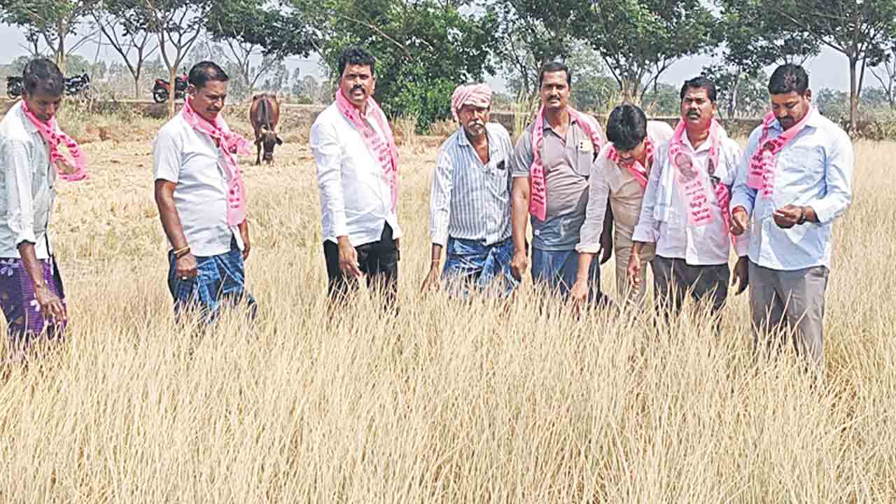 నష్టపోయిన పంటలకు పరిహారం చెల్లించాలి