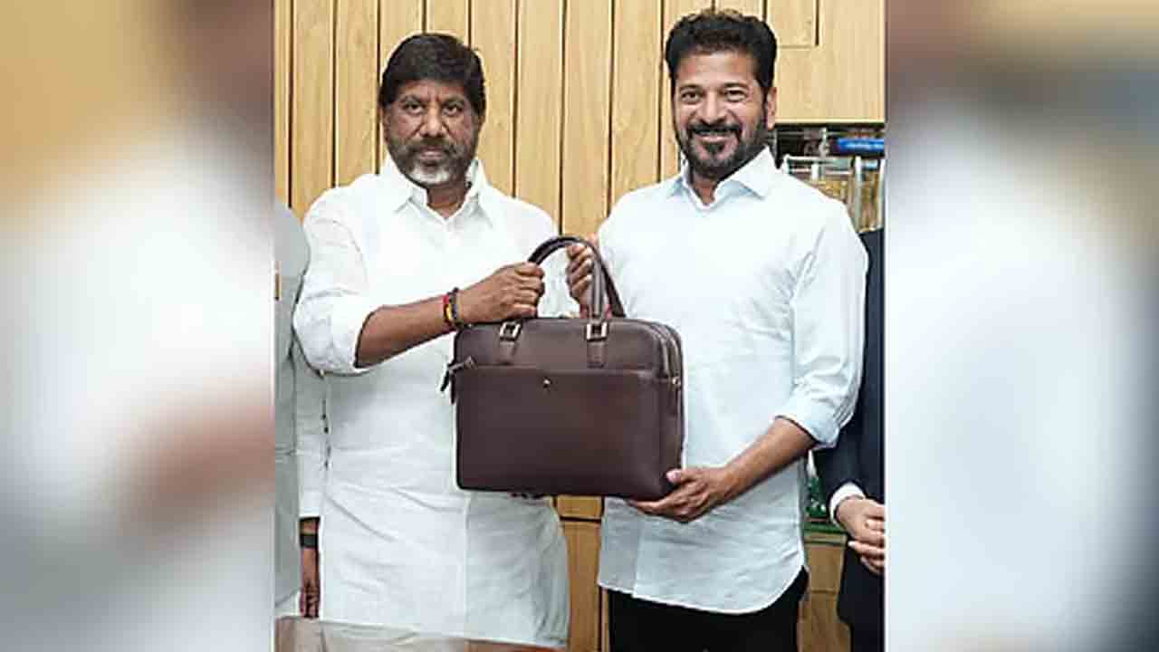 చెవిలో పువ్వు బడ్జెట్‌