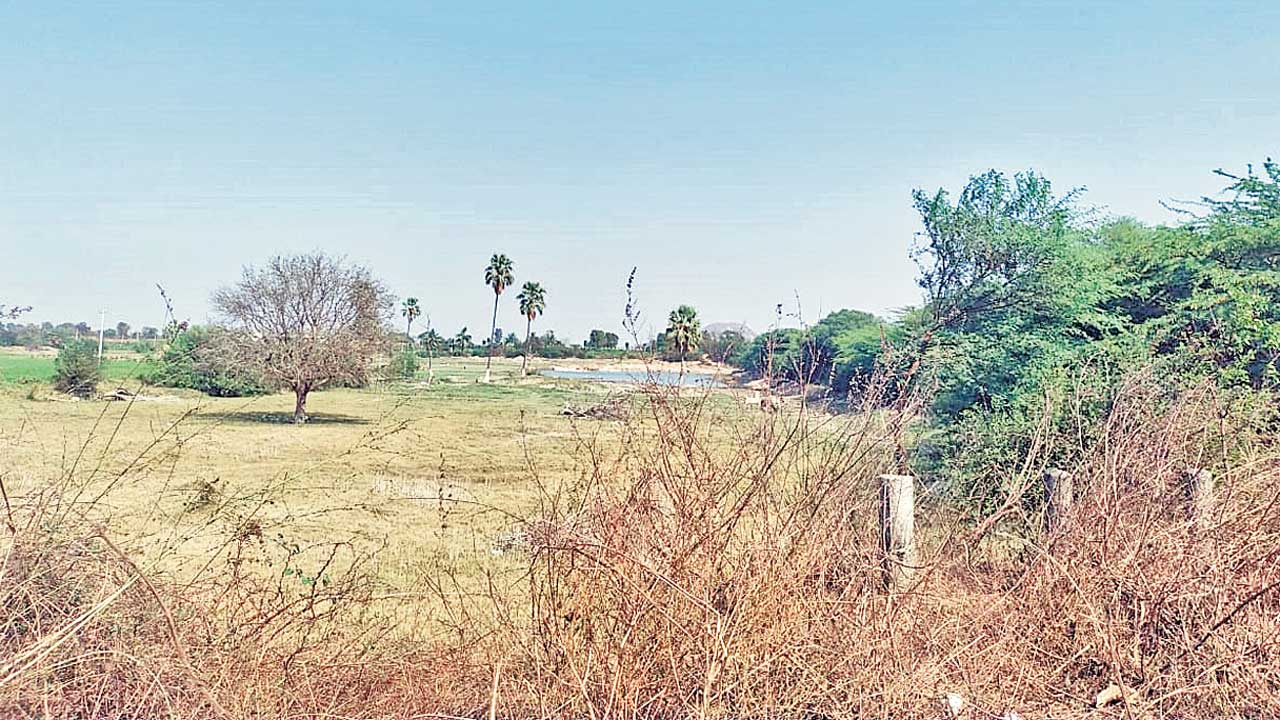 50% చెరువులు ఖాళీ!