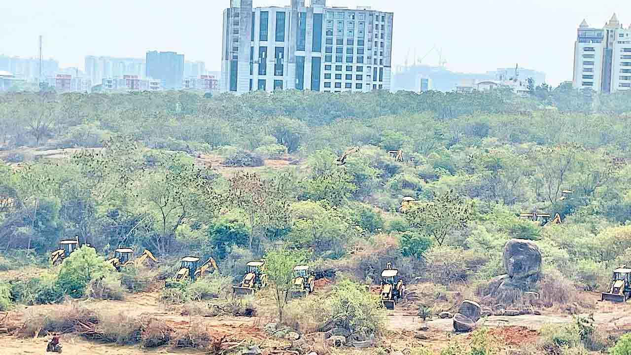 మాయా నగరం-రియల్‌ బూచోళ్లు