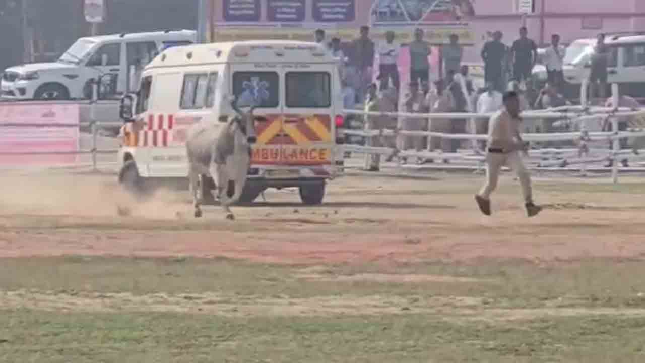 Watch: సీఎం హెలికాప్టర్‌ ల్యాండ్‌కు ముందు హెలిప్యాడ్‌లోకి ఆవు.. ఏం జరిగిందంటే?