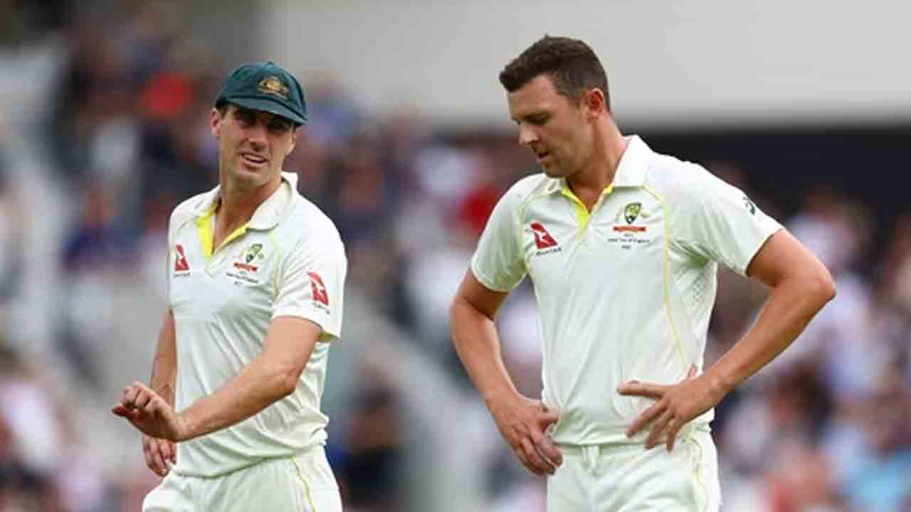 కంగారూలు బిజీ బిజీ