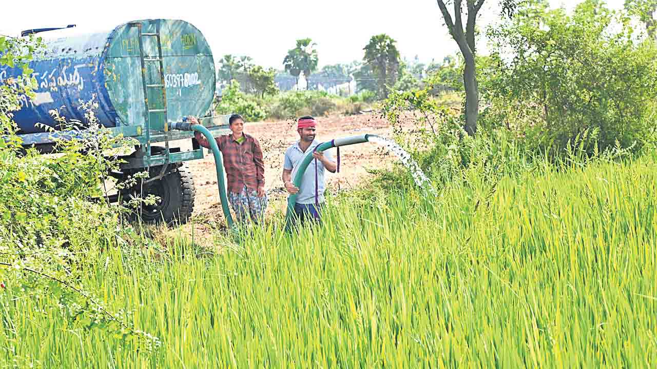 అన్నదాతకు.. వరిగోస
