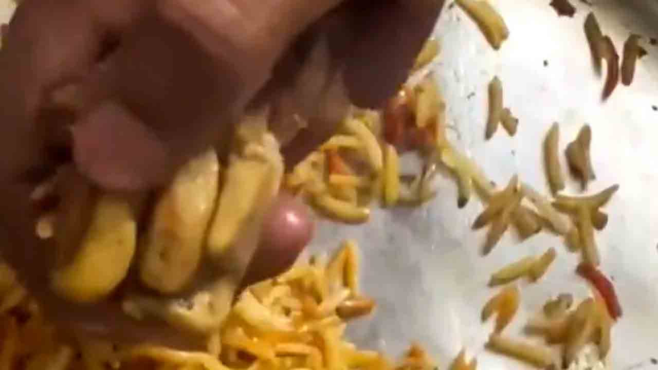 Watch: బిర్యానీలో కుక్క కాలు.. వీడియో వైరల్‌