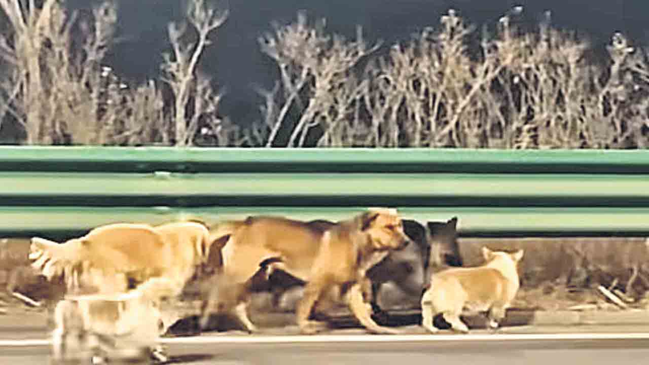 మృత్యువును ఏమార్చి.. కలిసికట్టుగా ఇల్లు చేరి