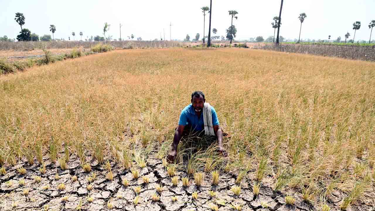 కరెంట్‌ కోతలతో రైతన్న పరేషాన్‌.. అడుగంటుతున్న భూగర్భ జలాలు