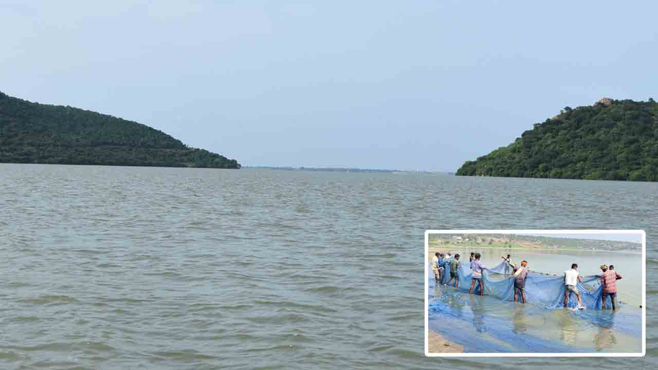 అలివిలవిల !