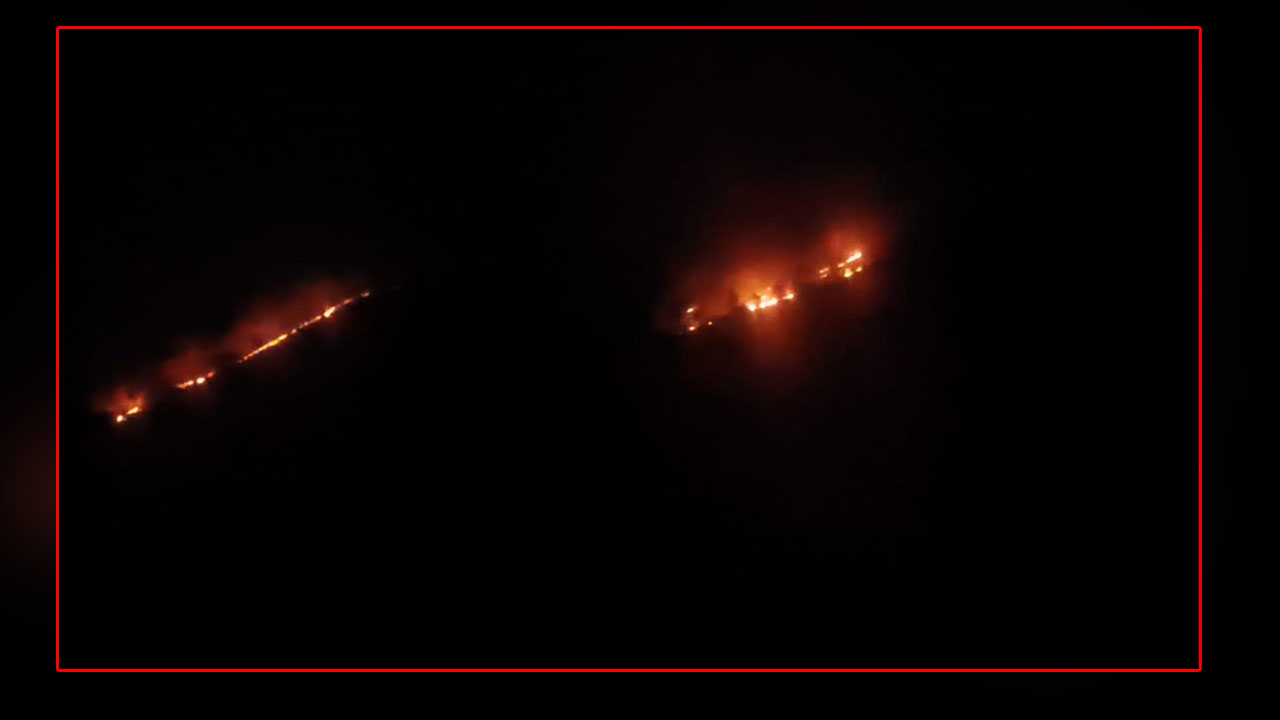 Wildfires | రంజని గుట్టల్లో మంటలు..తగులబడుతున్నా పట్టించుకోని అటవి అధికారులు