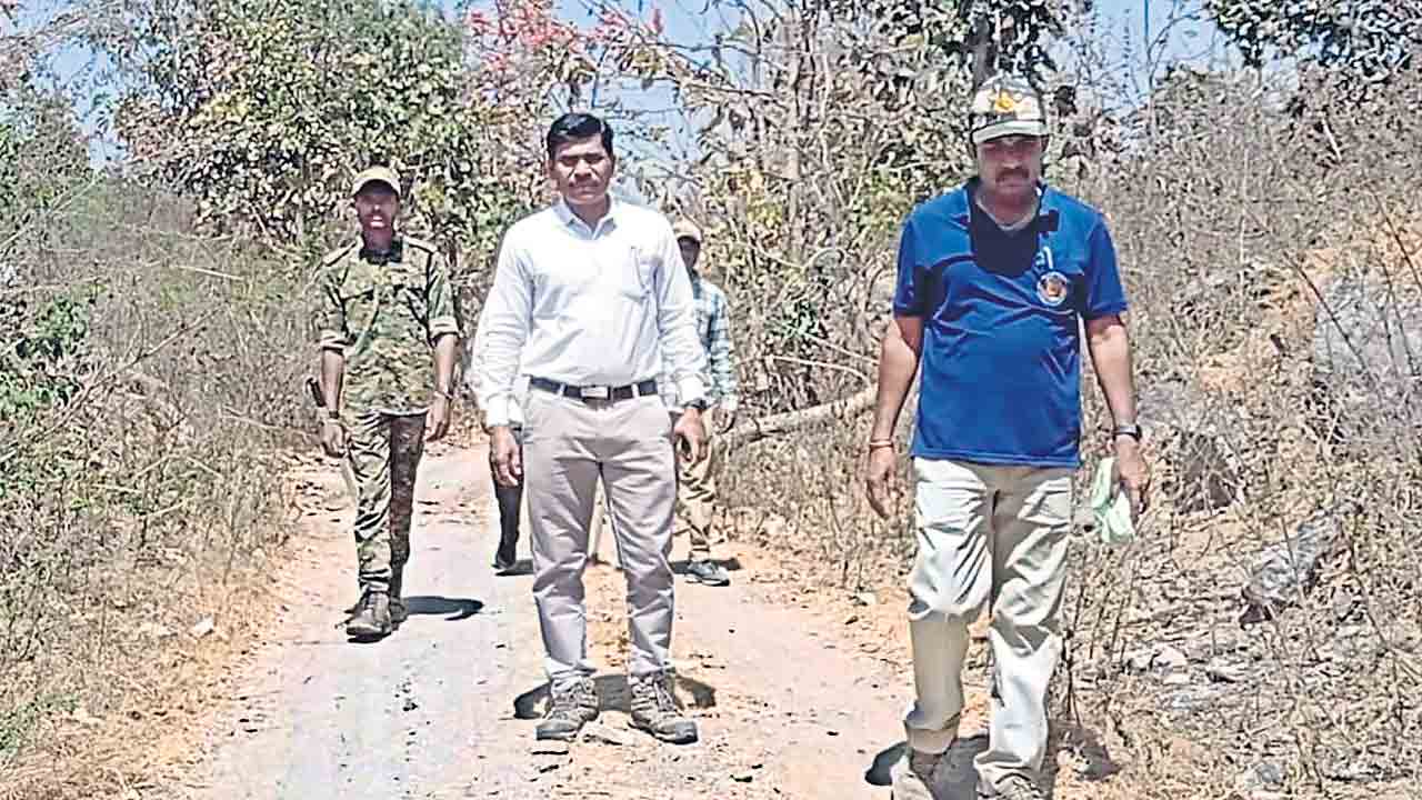 జిల్లా సరిహద్దు దాటిన పెద్ద పులి