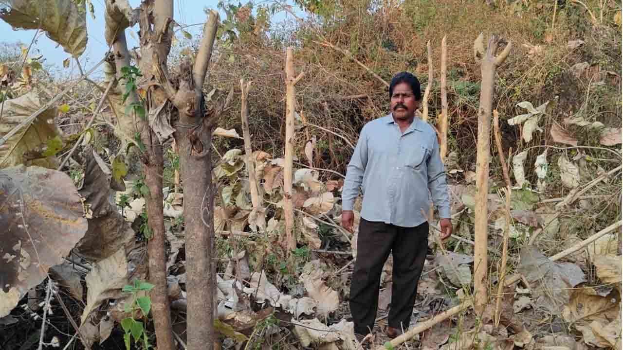 Forests | అడవిలో అగ్నిప్రమాదాలతో పర్యావరణానికి ముప్పు : ప్రవీణ్ నాయక్
