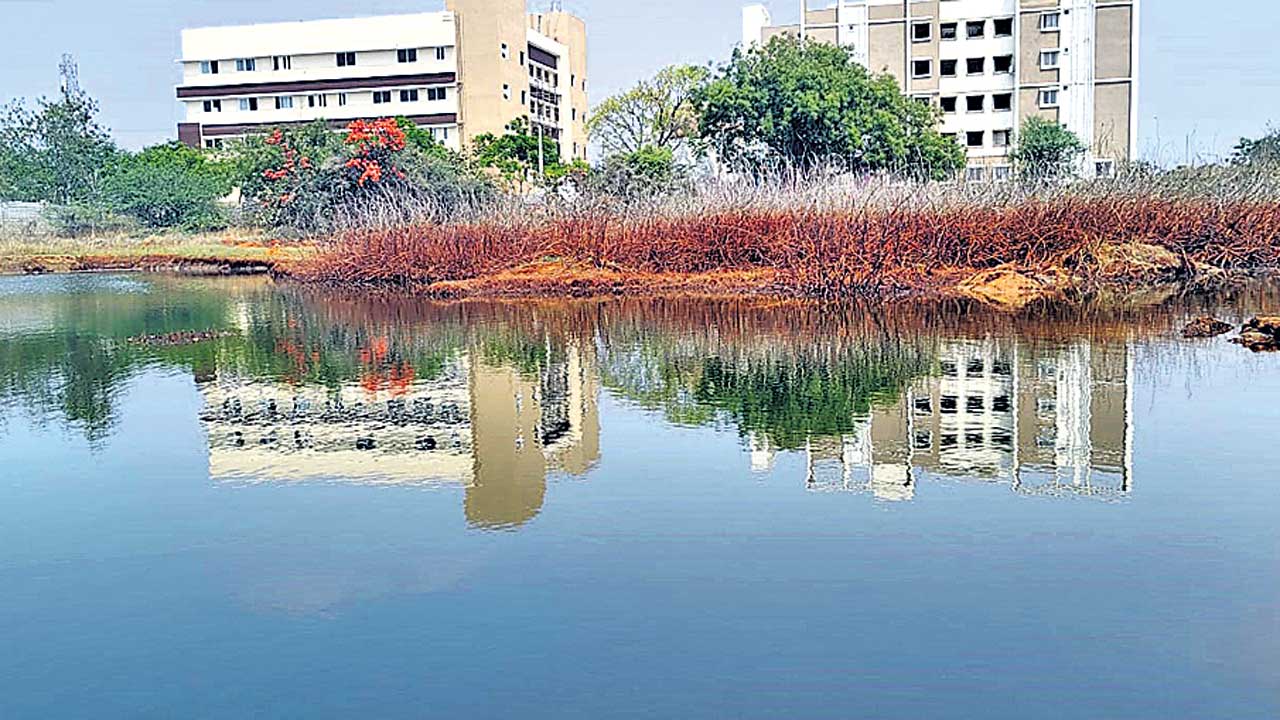 పోచమ్మ కుంట విషపు కుండ