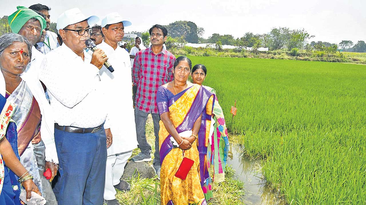 రైతు చైతన్యంతోనే అధిక దిగుబడులు