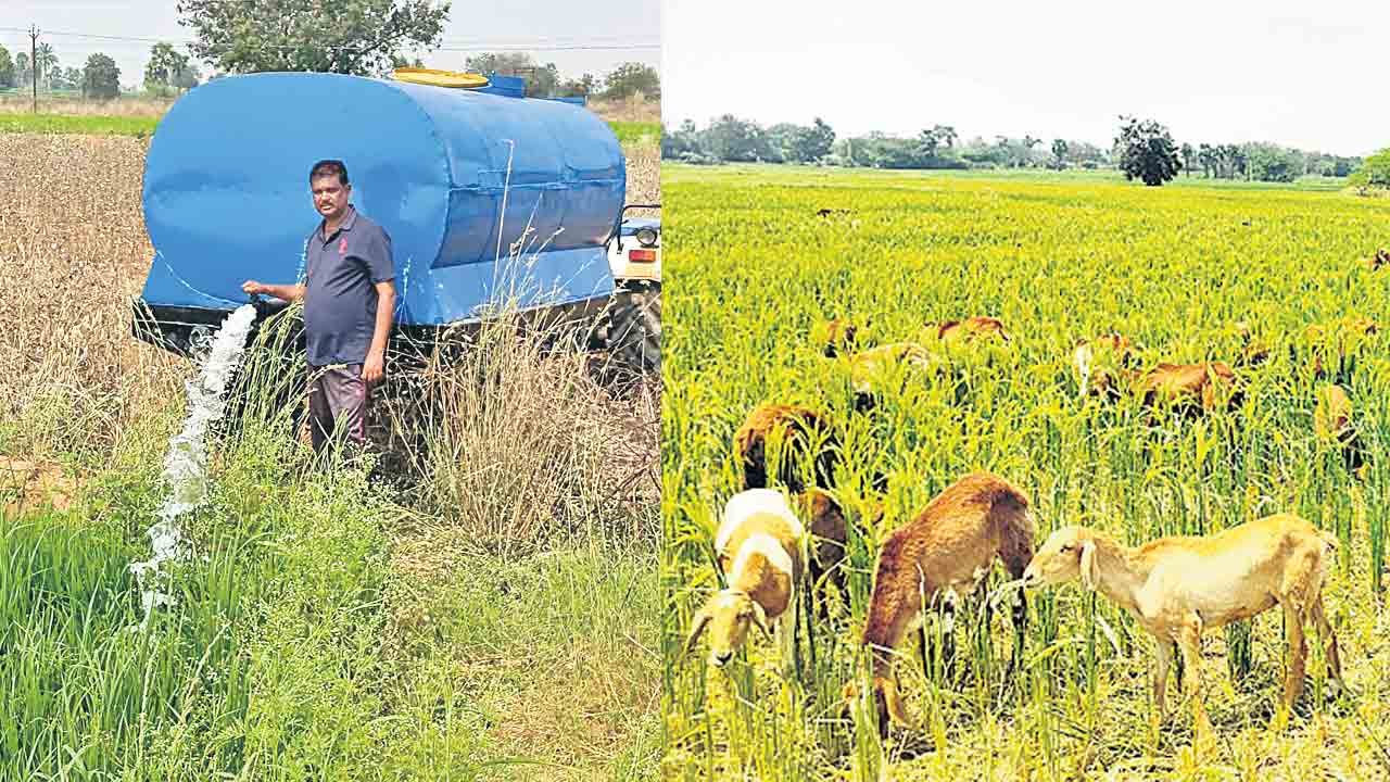 రైతుకు గడ్డుకాలం!.. సాగు నీటి కష్టాలతో సతమతం