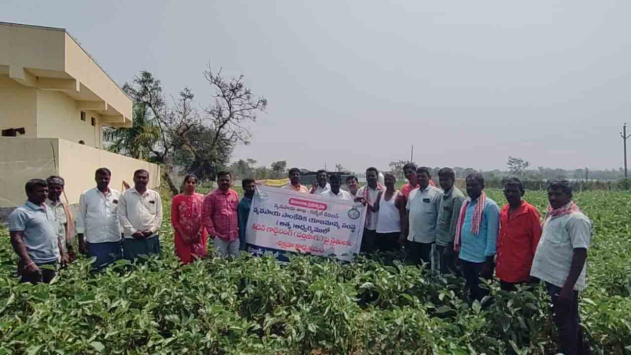 Kitchen Gardening | కిచెన్ గార్డెనింగ్‌కు పెరుగుతున్న ప్రాధాన్యం.. రైతులకు శిక్షణా కార్యక్రమం
