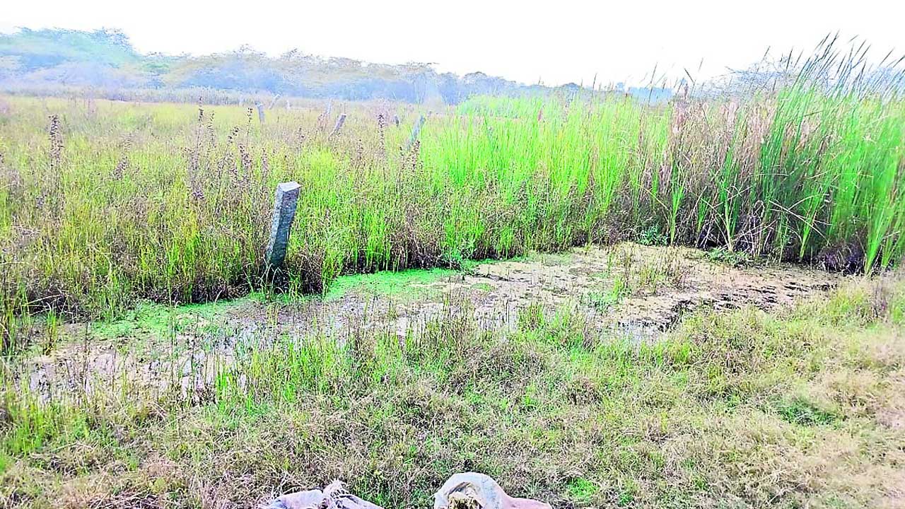 ఎల్‌ఆర్‌నో!