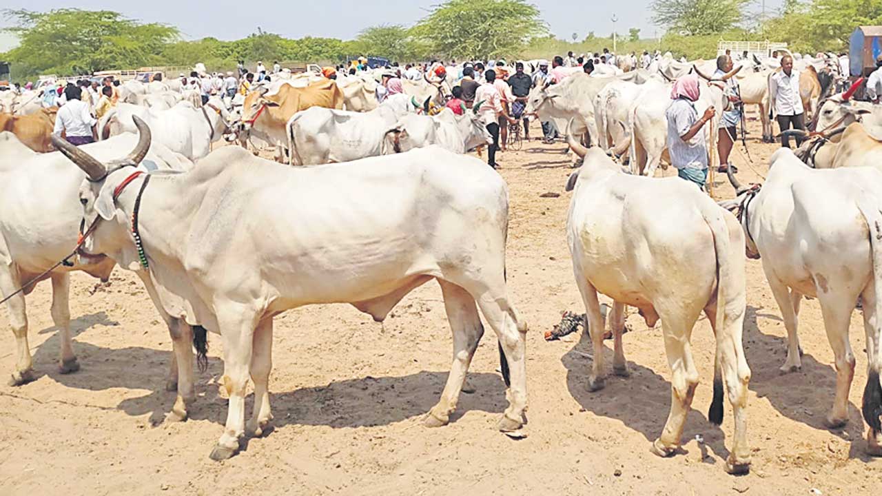 అంగడి ఆదాయం.. కొందరికి భోజ్యం!