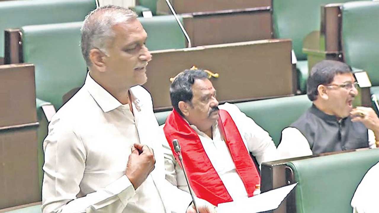 అధ్యక్షా.. రోడ్డకు మోక్షం కలిగేనా