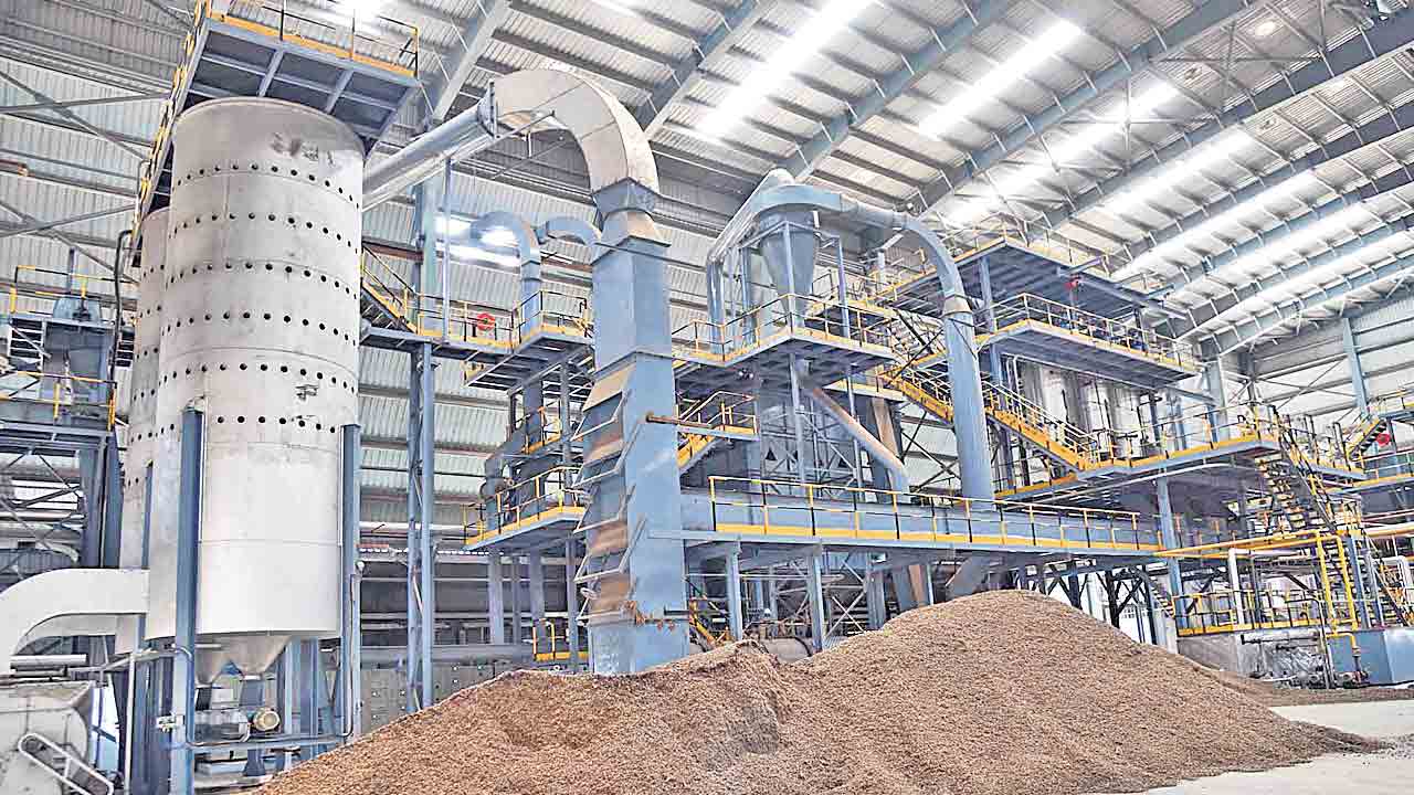 Oil Palm Industry Narmeta